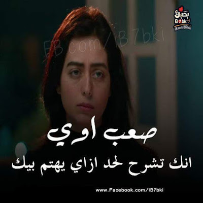 shof_e2b8a40baf773d2