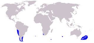 Gölgeli yunus doğal yaşam alanı haritası