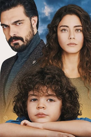 turkish series legacy with english subtitles