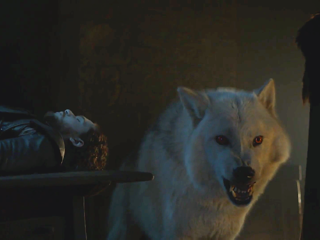 Ghost direwolf of Jon Snow in Game of Thrones TV Series