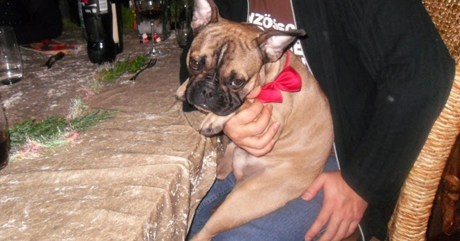 Nachhaltige Weihnachten Geschenke Unter 20