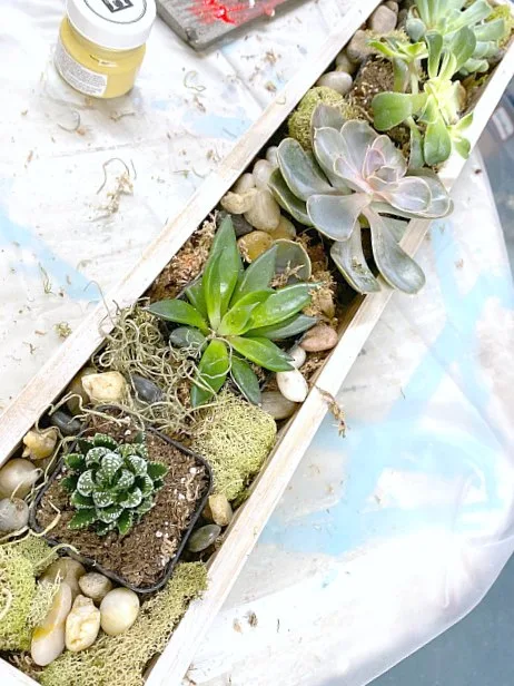 How to Make a Rustic Stenciled Succulent Garden Gift