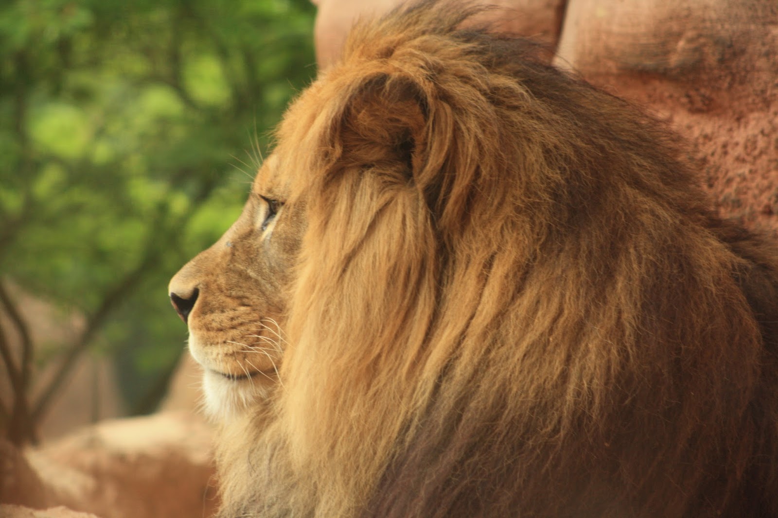 Mischas Reiseseite: Der Zoo in Hannover