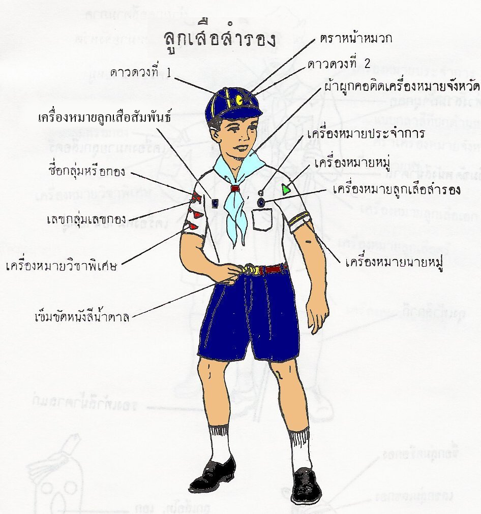 รายการ 91+ ภาพพื้นหลัง เครื่องแบบลูกเสือสามัญรุ่นใหญ่ หญิง ความละเอียด 2k, 4k รายการ 91+ ภาพพื้นหลัง เครื่องแบบลูกเสือสามัญรุ่นใหญ่ หญิง ความละเอียด 2k, 4k