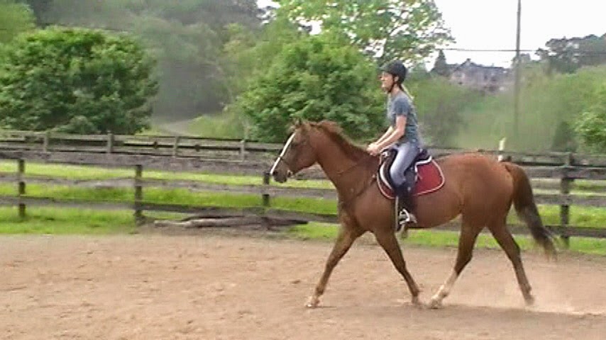 Cheryl and Promise in a hunter lesson