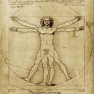O que é anatomia?