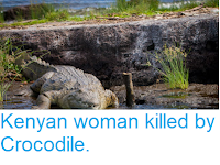 https://sciencythoughts.blogspot.com/2018/08/kenyan-woman-killed-by-crocodile.html