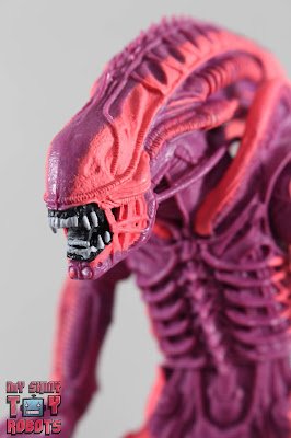 NECA Xenomorph Warrior Arcade Appearance 01