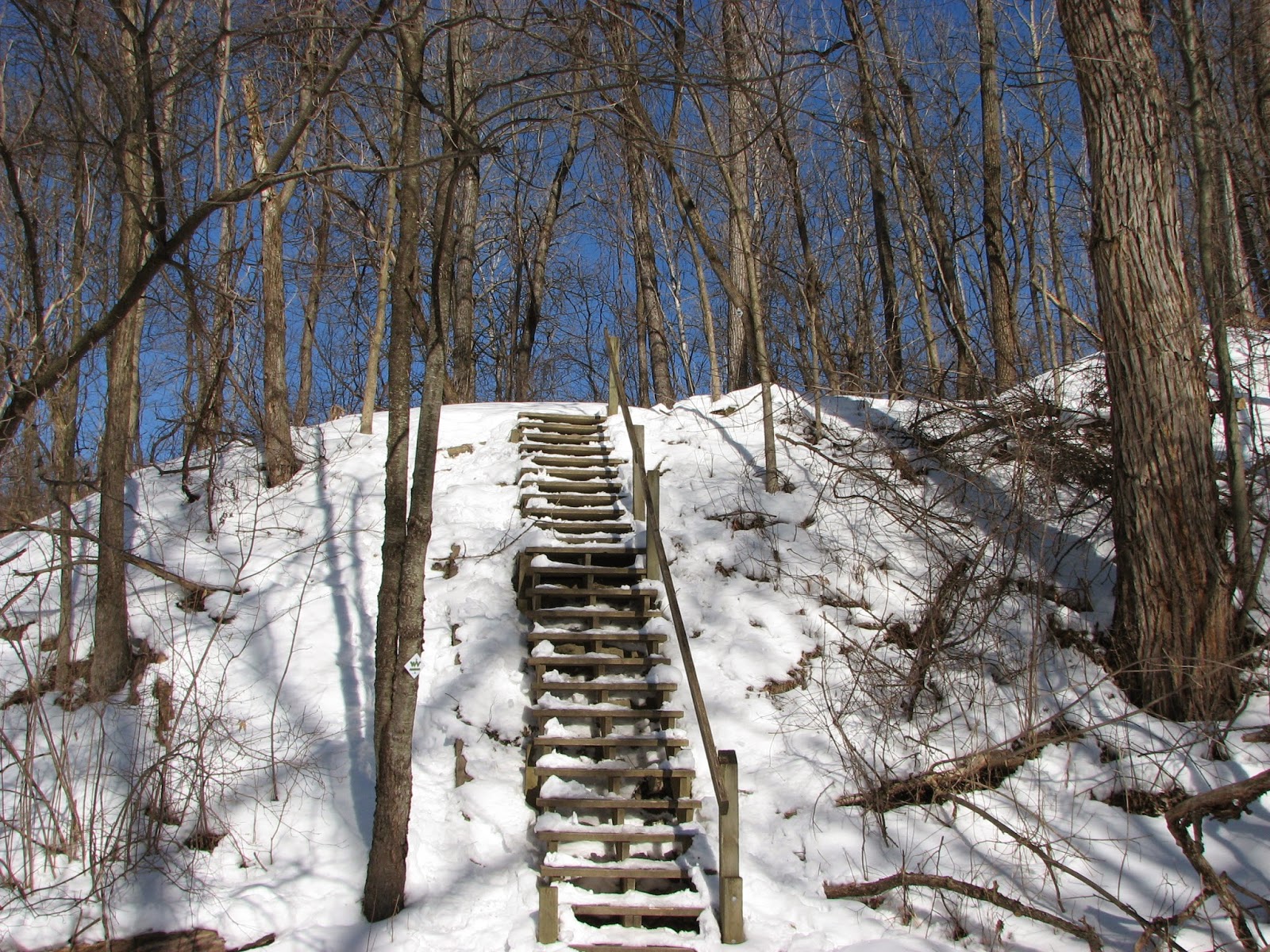Woodside Natural Area, nature trailsWVPD. (Photos). In search of the