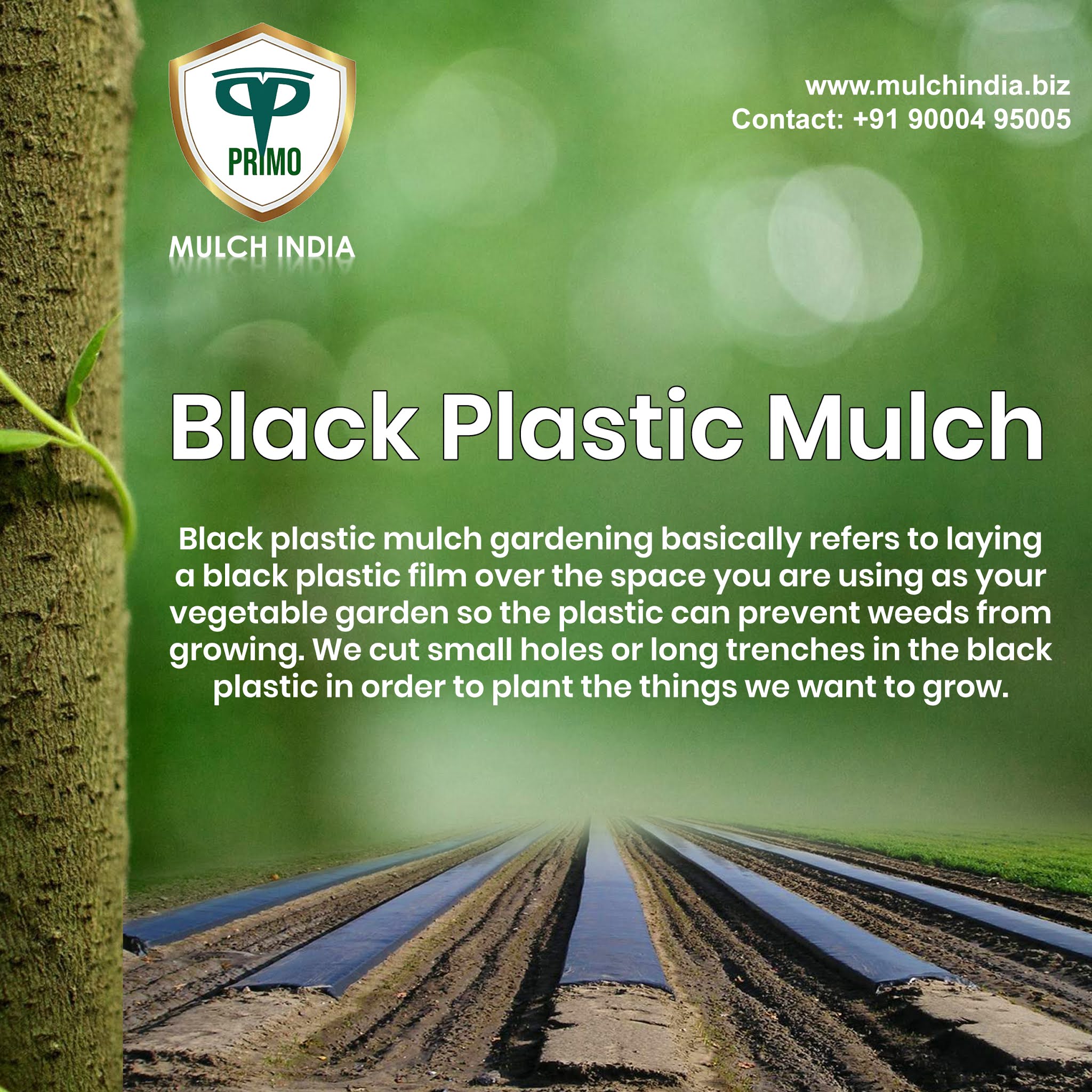 MulchIndia Black Plastic Mulch Mulch India Call+𝟵𝟭 𝟵𝟬𝟬𝟬𝟰𝟵𝟱𝟬𝟬𝟱 𝒘𝒘𝒘