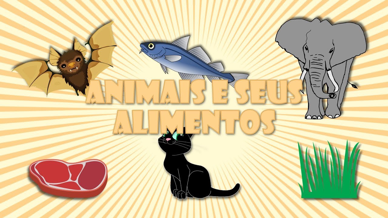 Carnívoro, Herbívoro e Onívoro qual a diferença? Carnívoro, Herbívoro e Onívoro qual a diferença?