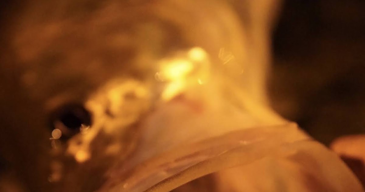 On Foot Angler From Todd & Eddy Juno Bait Juno Beach