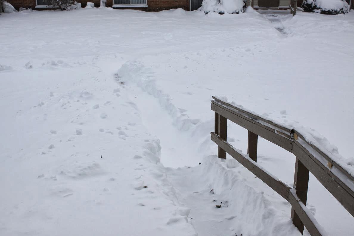 Michigan Exposures Snowed In
