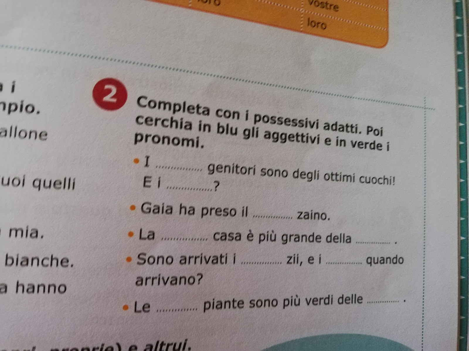 4c Villanova Aggettivi E Pronomi Possessivi