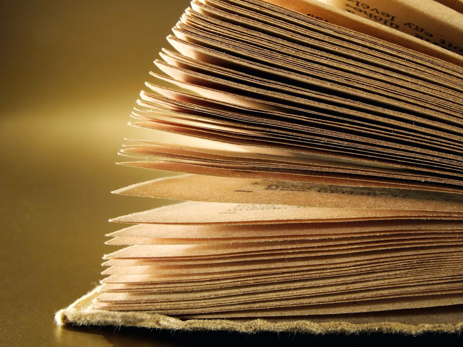 Writing Poems for you: Day 98: In between a Page