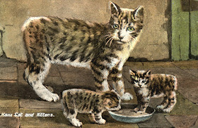 Shukernature Legends And Lore Of The Manx Cat Mythic Tales Of