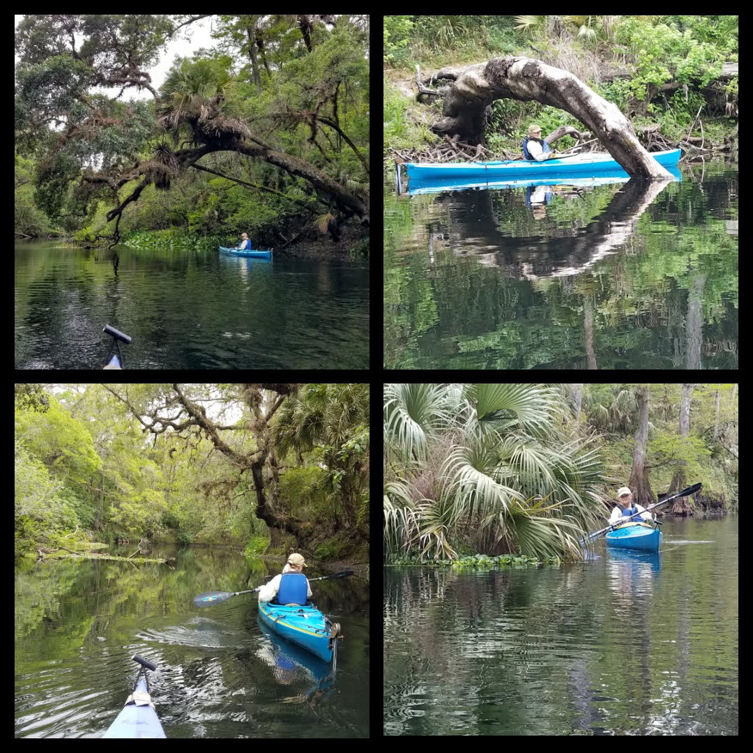 davejennyjournal Hillsborough River day 2
