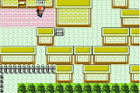Pokemon Third Element Screenshot 01