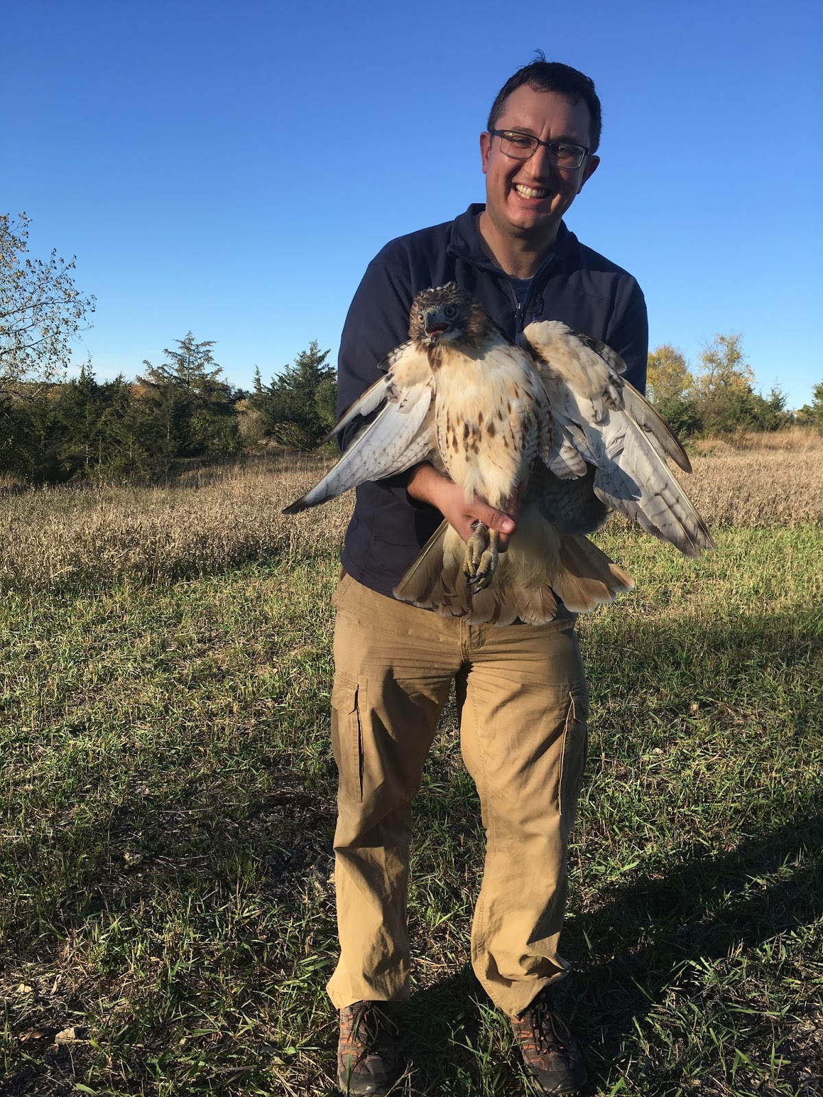 Raptor Resource Project Blog Project Spotlight Autumn Migration