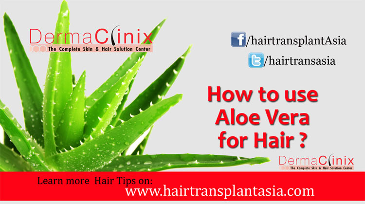 Hair Transplant Asia - DermaClinix: Tips to-utilize aloe vera for hair