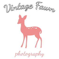 Vintage Fawn Photography