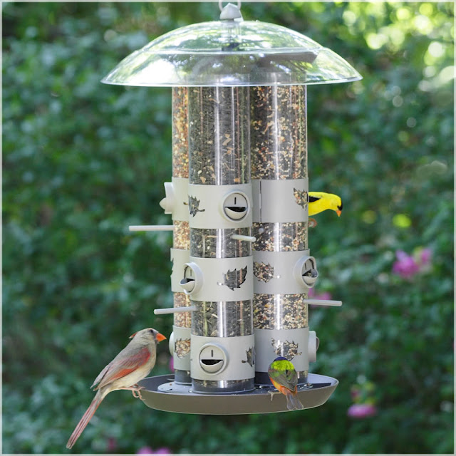 Bird In Everything Bird Feeding Station Ideas