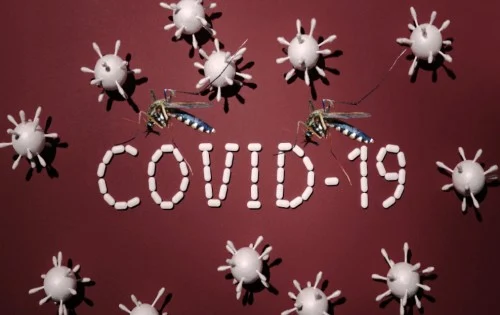Dengue and COVID-19A Difference Emergence of Co-infection
