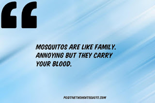Funny WhatsApp quotes Funny WhatsApp quotes