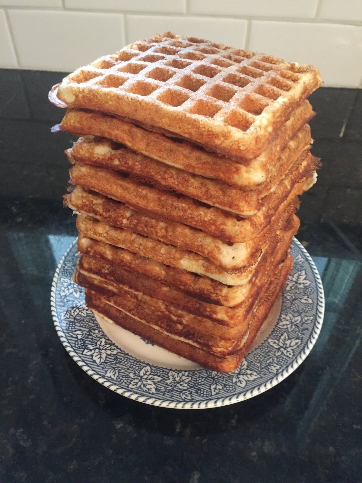 Trim Healthy Mama Blender Freezer Waffles Lora Lovin Osburn