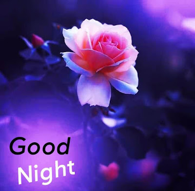 Good Night Images Download For Whatsapp