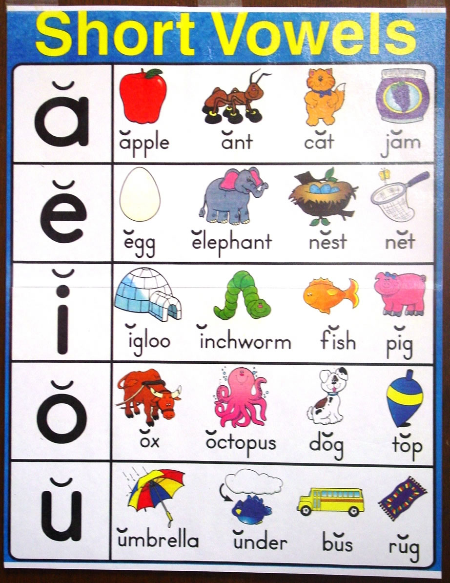 Inglés Vowels Vocales