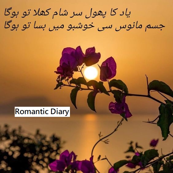 Romantic Diary Sad Poetry in Urdu