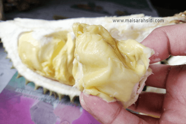 durian Perak