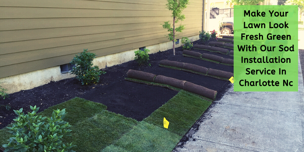 Make Your Lawn Look Fresh Green With Our Sod Installation Service In