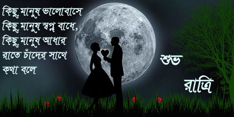 Good Night Image In Bengali