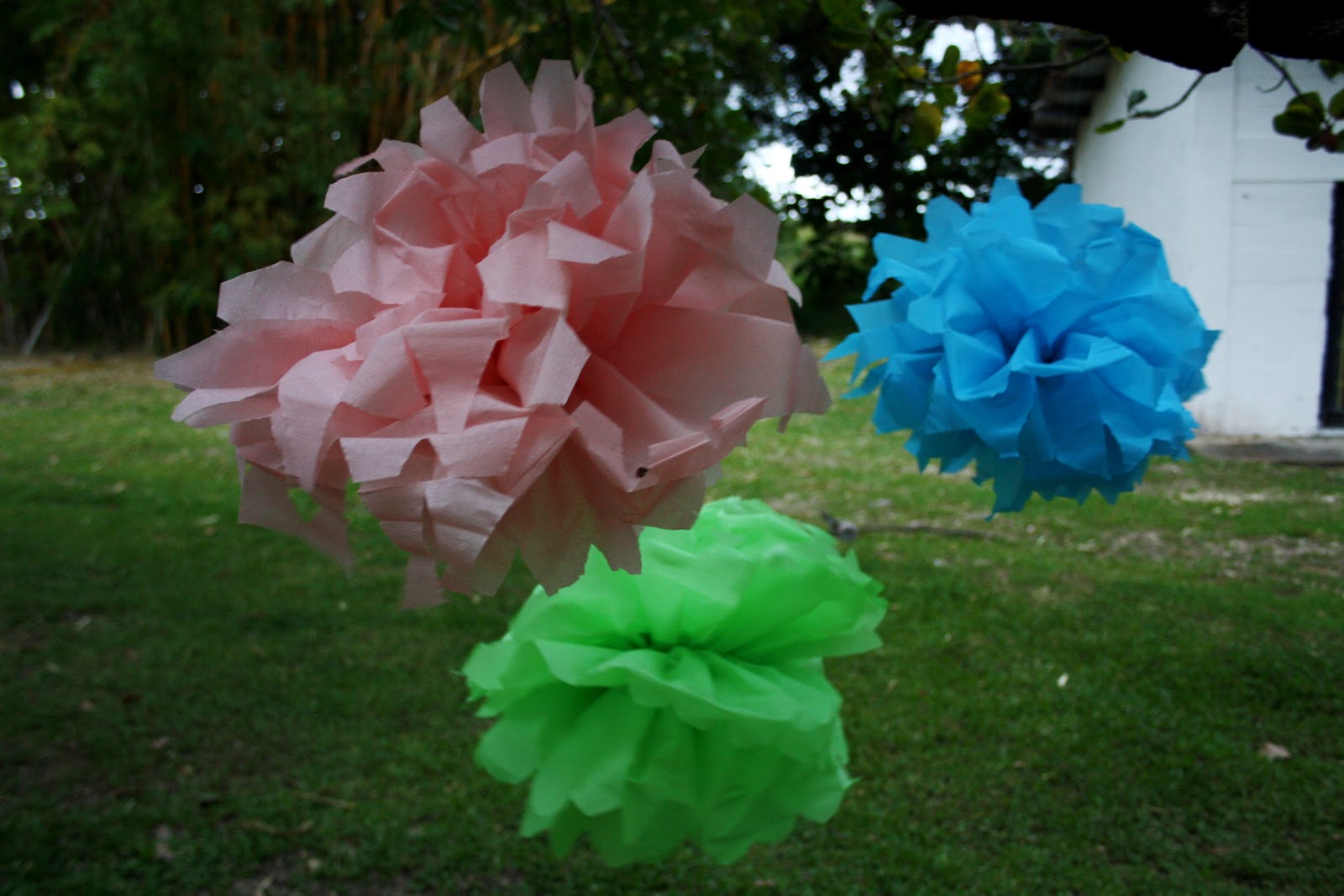 forever, pa' siempre Crepe Paper Pom Poms