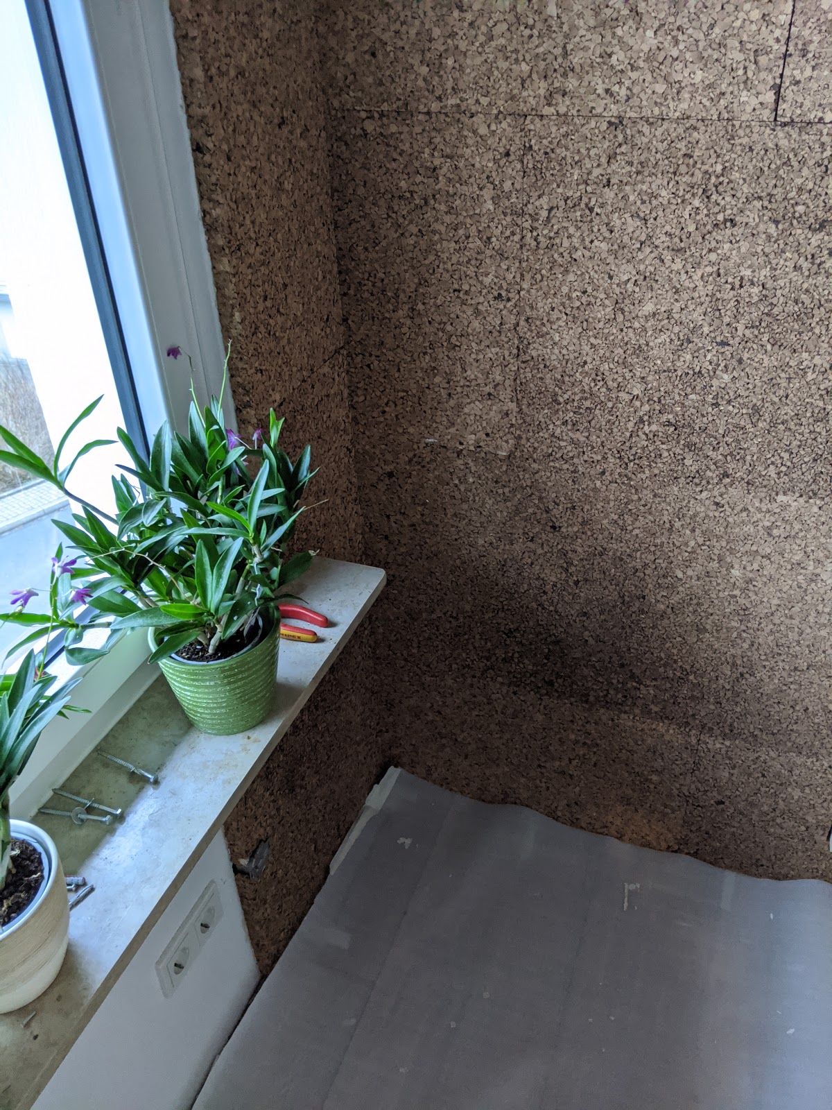 Dämmung der Innenwand mit Kork