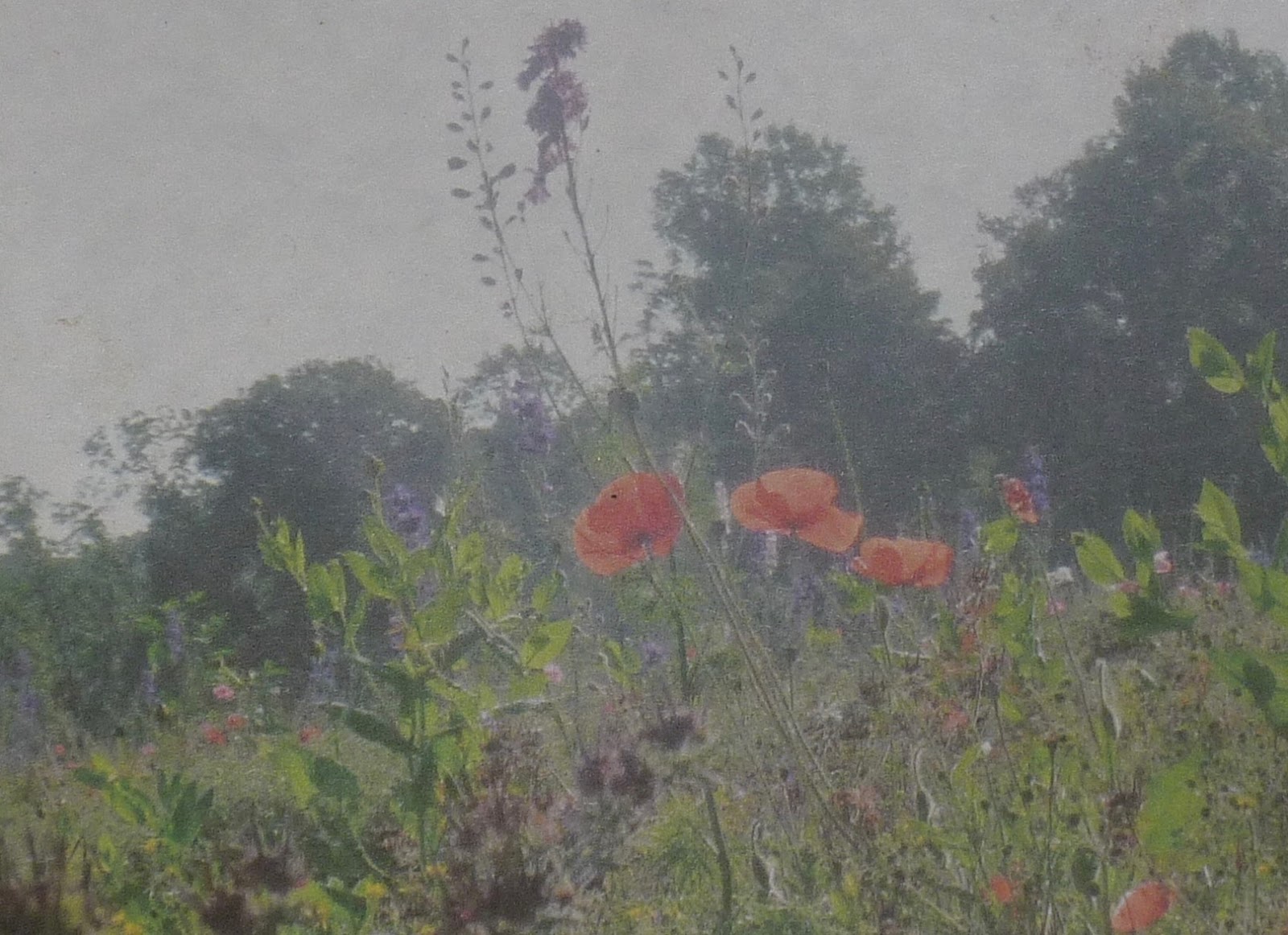 Painting My World New Video Demo Try A Baby Wipe Underpainting