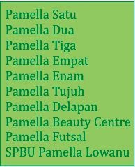 Pamella Group