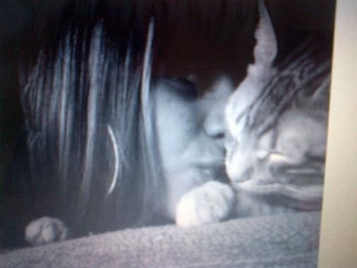 siempre-te-recordare-mi-amado-gato