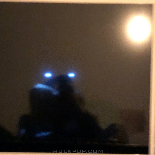 KREAM – Stranger – Single