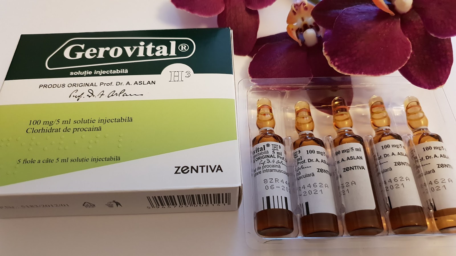 GEROVITAL H3 Iniezioni Fiale Ana Aslan Gerovital H3 Compresse GEROVITAL H3 Iniezioni Fiale Ana Aslan Gerovital H3 Compresse