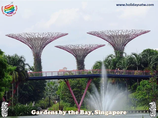 The best activities in Gardens by the Bay