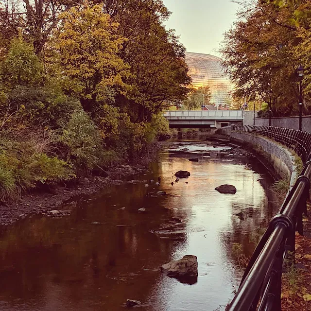 Non-Touristy Dublin City One Day Itinerary: The Dodder River Path in Ballsbridge