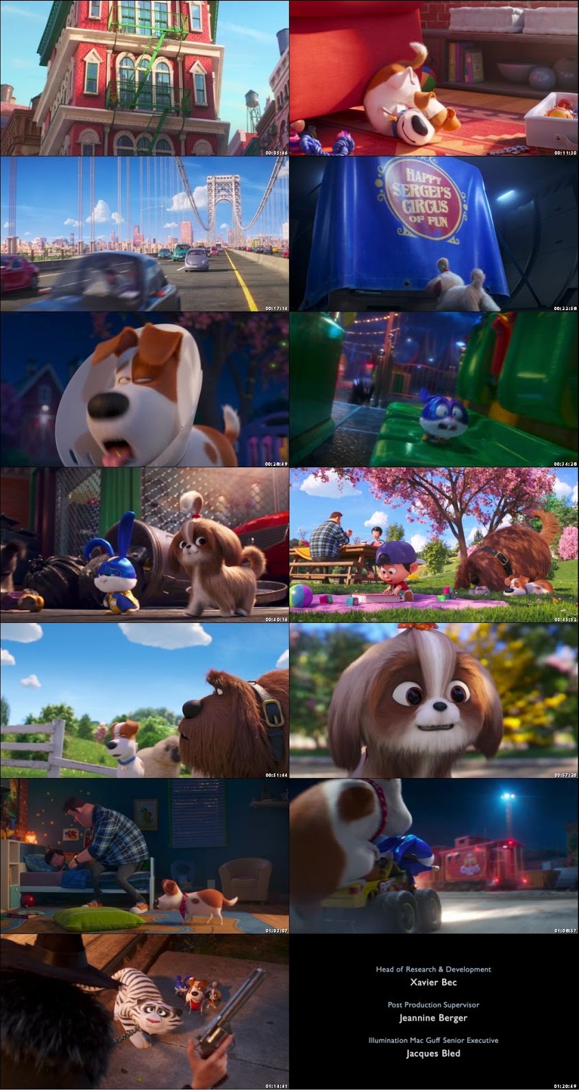 The Secret Life Of Pets 2 2019 Movie Hindi English the-secret-life-of-pets-2-2019-movie-hindi-english