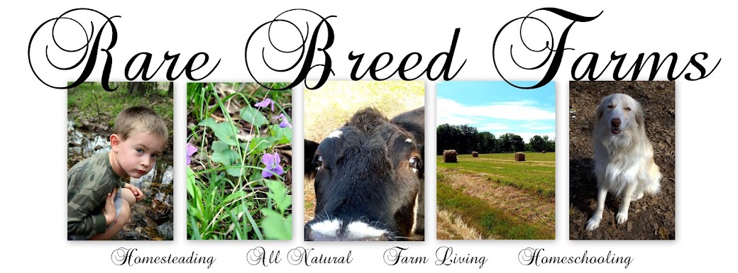 Rare Breed Farms