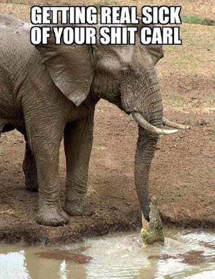 Getting real sick of your shit, Carl.