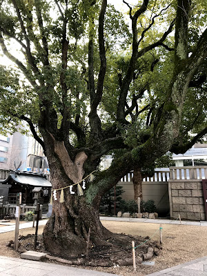吉方位 大阪 難波神社