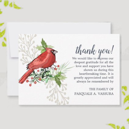 Simple Sympathy Thank You Card Red Cardinal Bird