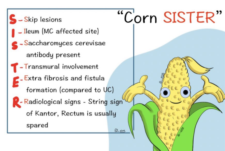 Crohn’s Disease Signs (Mnemonic)